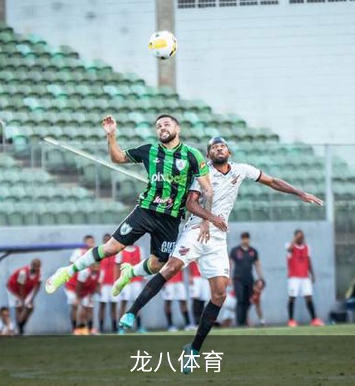 关于龙八体育